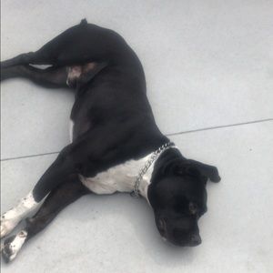 Meet your Posher, Daniela